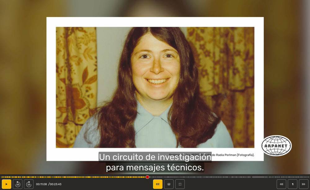 Retrato en color de Radia Perlman, lleva el cabello largo y una camisa azul, sonriendo a cámara.