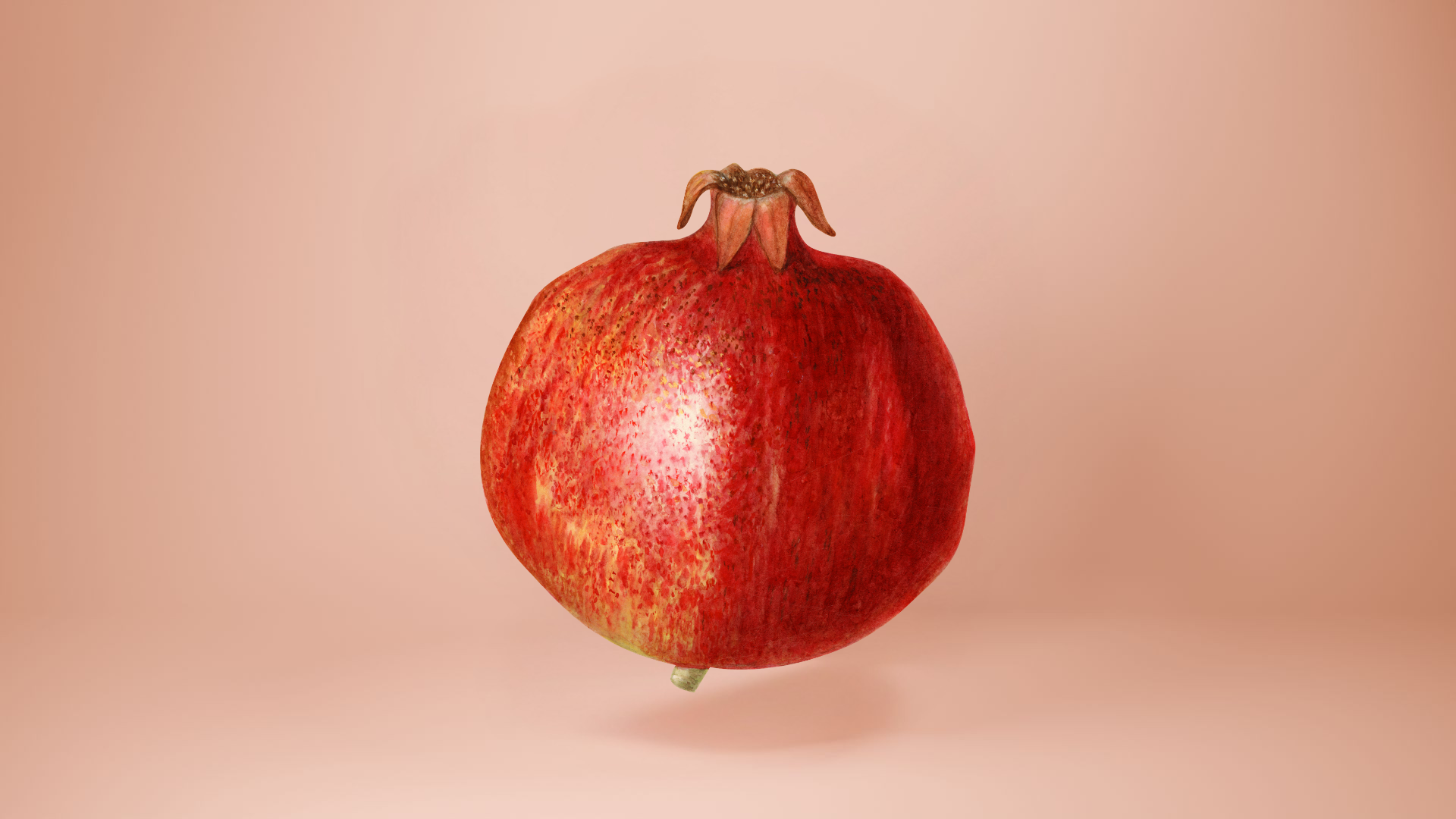 Una granada roja entera (fruta), vista de frente, flotando sobre un fondo liso de color cobre.